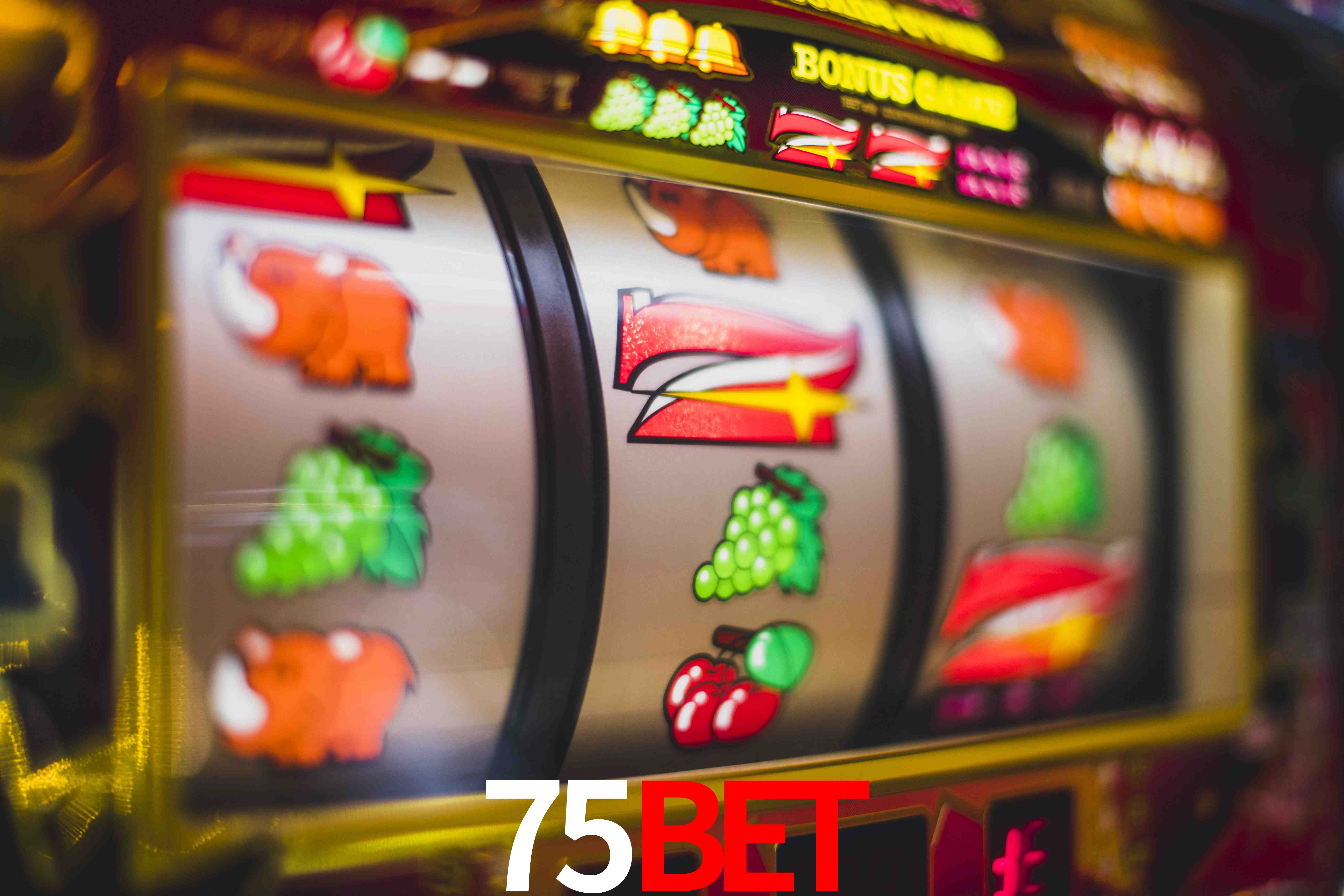 Aviator Game 75bet